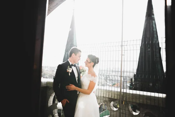 Casal de casamento beijando ficar sobre bela paisagem — Fotografia de Stock