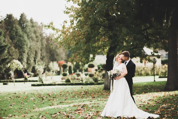 Pas getrouwd stel loopt en springt in het park terwijl ze elkaars hand vasthouden — Stockfoto
