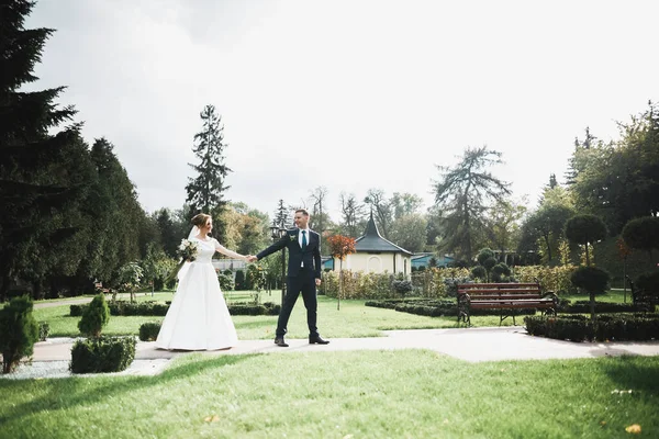 植物公園を歩く幸せな結婚式のカップル — ストック写真