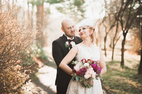 Parkta kucaklaşan yeni evli çiftin güzel romantik düğünü. — Stok fotoğraf