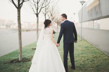 Lüks evli çift, gelin ve damat eski şehirde poz veriyor.