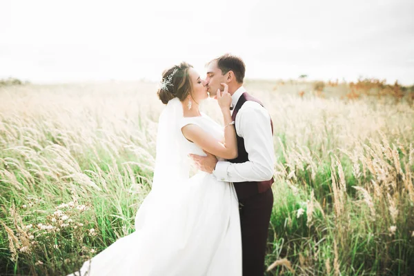 Coppia perfetta sposa, sposo posa e baci nel loro giorno del matrimonio — Foto Stock