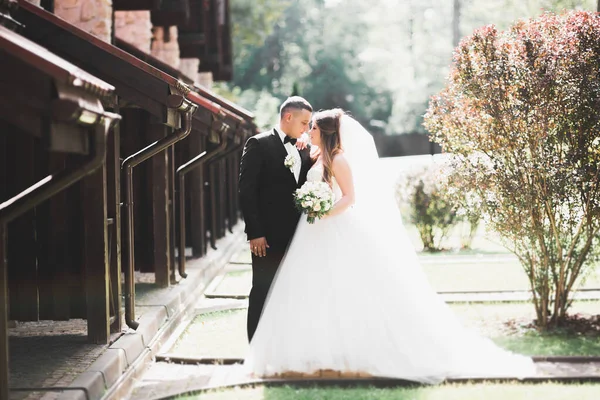 Joyeux couple de mariage marchant dans un parc botanique — Photo