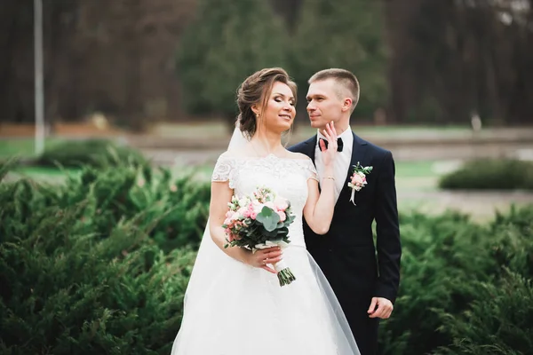 Pengantin wanita dan pengantin pria yang cantik merangkul dan mencium pada hari pernikahan mereka — Stok Foto