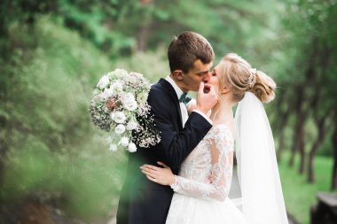 Romantik, peri masalı, mutlu yeni evli çift parkta sarılıp öpüşüyor, arka planda ağaçlar...
