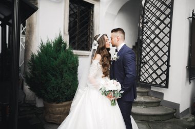 Romantik düğün anı, yeni evli çiftin gülümseyen portresi, gelin ve damadın kucaklaşması