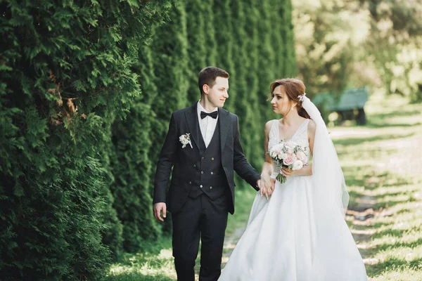 Boldog esküvői pár bájos vőlegény és tökéletes menyasszony pózol park — Stock Fotó