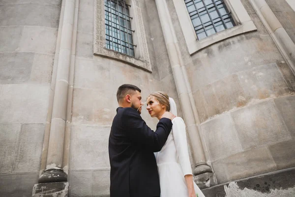 Romantischer Hochzeitsmoment, Brautpaar lächelt Porträt, Braut und Bräutigam umarmen sich — Stockfoto