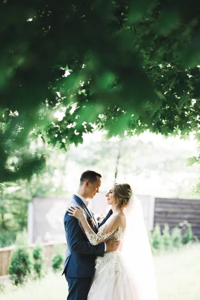 Romantisch huwelijksmoment, paar pasgetrouwden glimlachend portret, bruid en bruidegom knuffelen — Stockfoto