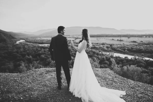 Hermosa pareja de boda alojándose sobre hermoso paisaje —  Fotos de Stock