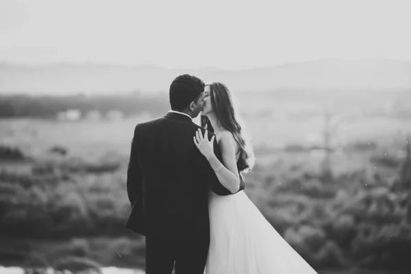 Belle mariée et marié embrasser et embrasser le jour de leur mariage à l'extérieur — Photo