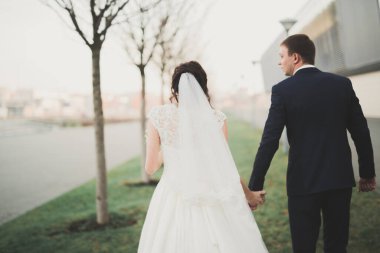 Lüks evli çift, gelin ve damat eski şehirde poz veriyor.