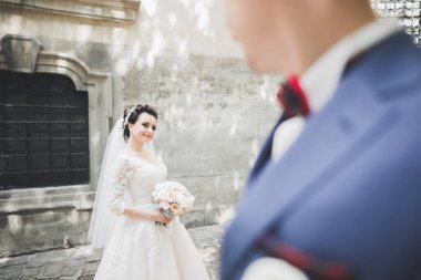 Mükemmel bir çift gelin ve damat düğün günlerinde poz verip öpüşürler.