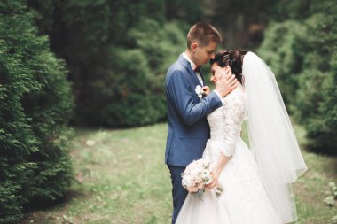 Botanik parkında yürüyen mutlu bir çift.