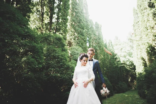 Elegante pareja de recién casados felices caminando en el parque el día de su boda con ramo —  Fotos de Stock