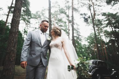 Mükemmel bir çift gelin ve damat düğün günlerinde poz verip öpüşürler.