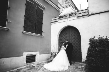 Mükemmel bir çift gelin ve damat düğün günlerinde poz verip öpüşürler.