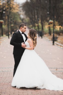 Mükemmel bir çift gelin ve damat düğün günlerinde poz verip öpüşürler.