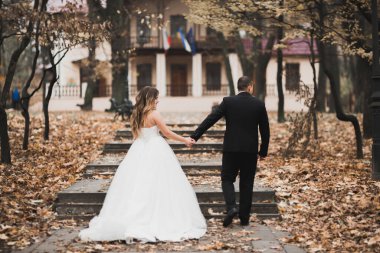 Mükemmel bir çift gelin ve damat düğün günlerinde poz verip öpüşürler.
