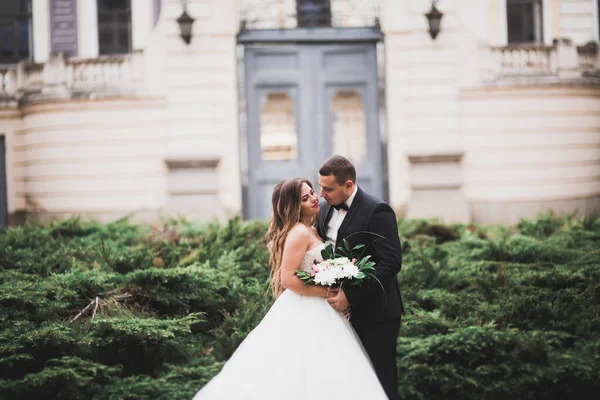 Coppia perfetta sposa, sposo posa e baci nel loro giorno del matrimonio — Foto Stock