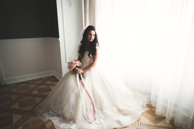 Tüylü, lüks makyaj, saç stili, stüdyo içi fotoğraf çekimi olan güzel bir gelin.