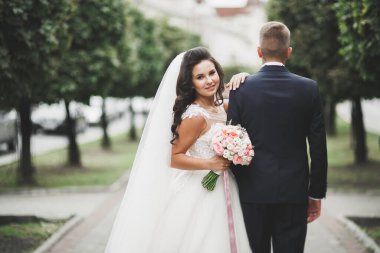 Lüks evli çift, gelin ve damat eski şehirde poz veriyor.