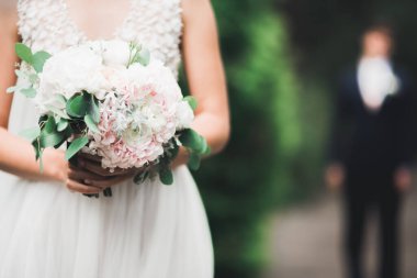 Romantik, peri masalı, mutlu yeni evli çift parkta sarılıp öpüşüyor, arka planda ağaçlar...