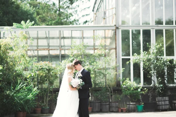 Romantikus, tündérmese, boldog friss házaspár ölelés és csókolózás a parkban, fák a háttérben — Stock Fotó