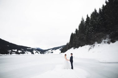 Arkaya bakan romantik genç çift, göller ve kış dağları
