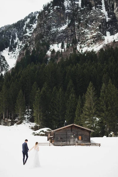 La pareja, la novia y el novio tomados de la mano en las montañas —  Fotos de Stock