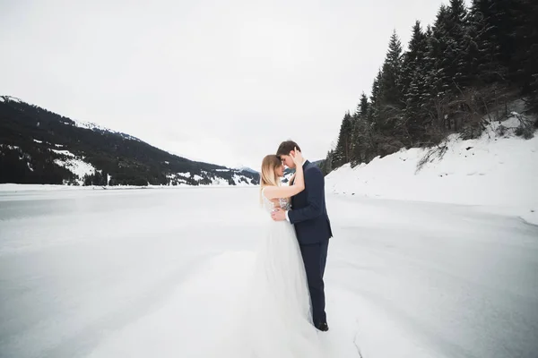 Boda pareja novia y novio de la mano —  Fotos de Stock