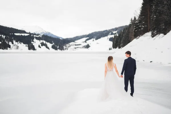 La pareja, la novia y el novio tomados de la mano en las montañas —  Fotos de Stock