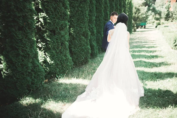 Casal feliz caminhando em um parque botânico — Fotografia de Stock