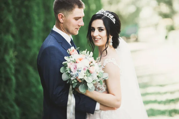 Romántico, cuento de hadas, feliz pareja recién casada abrazándose y besándose en un parque, árboles en el fondo — Foto de Stock