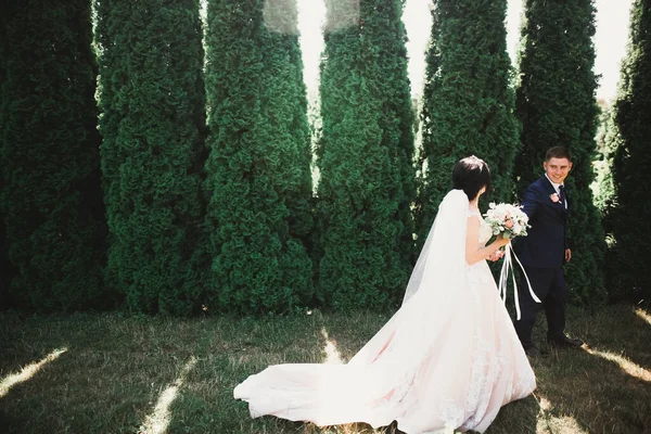 Joyeux couple de mariage marchant dans un parc botanique — Photo