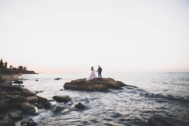 Mutlu evlilik çifti güzel manzarada kalıyor.