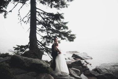 Güzel bir sahilde poz veren genç bir çiftin mutlu ve romantik sahnesi.