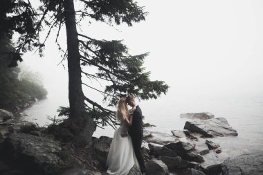 Bahar mevsiminde öpüşen düğün çifti. Yakın plan portre.