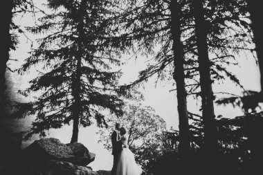 Mutlu evlilik çifti güzel manzarada kalıyor.