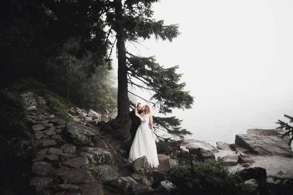 Casal perfeito noiva, noivo posando e beijando em seu dia do casamento — Fotografia de Stock