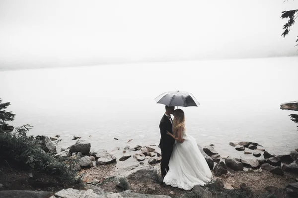 Küssendes Hochzeitspaar im Frühling in Nahaufnahme — Stockfoto