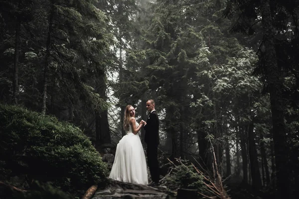 Romantico, fiaba, felice coppia di sposi che si abbraccia e si bacia in un parco, alberi sullo sfondo — Foto Stock