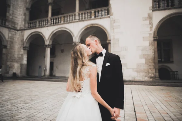 Casal perfeito noiva, noivo posando e beijando em seu dia do casamento — Fotografia de Stock