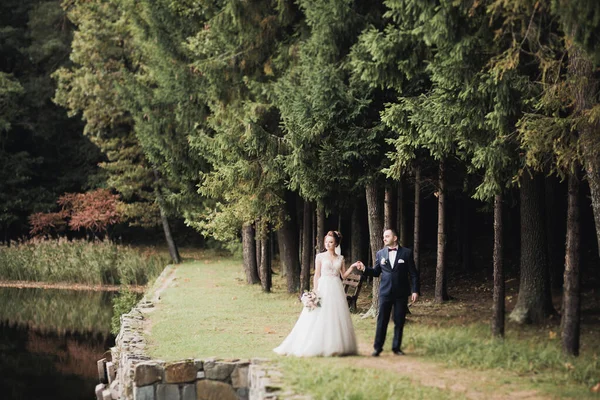 Hermosa boda romántica pareja de recién casados abrazándose en el parque —  Fotos de Stock