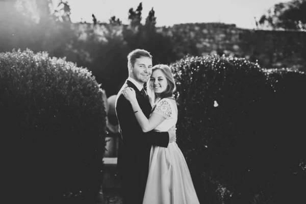 Pasangan pengantin baru yang romantis dan cantik berpelukan di taman — Stok Foto