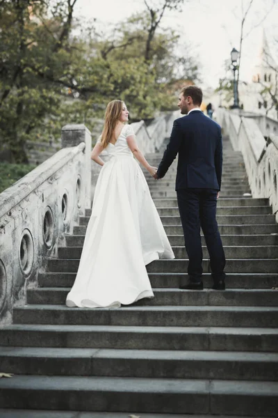 Wedding couple bride and groom holding hands — Stock Photo, Image