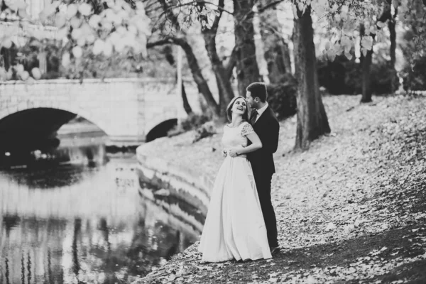 Casal romântico bonito casal de recém-casados abraçando no parque — Fotografia de Stock