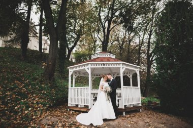 Parkta kucaklaşan yeni evli çiftin güzel romantik düğünü.