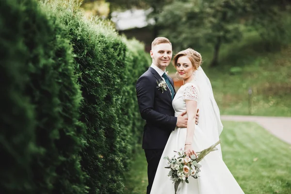 Joyeux couple de mariage marchant dans un parc botanique — Photo