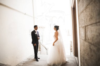 Muhteşem mutlu çift birbirine yakın duruyor ve eski şehir geçmişine, düğün fotoğrafına, Avrupa şehrine, Lviv 'de düğün gününe bakıyor.